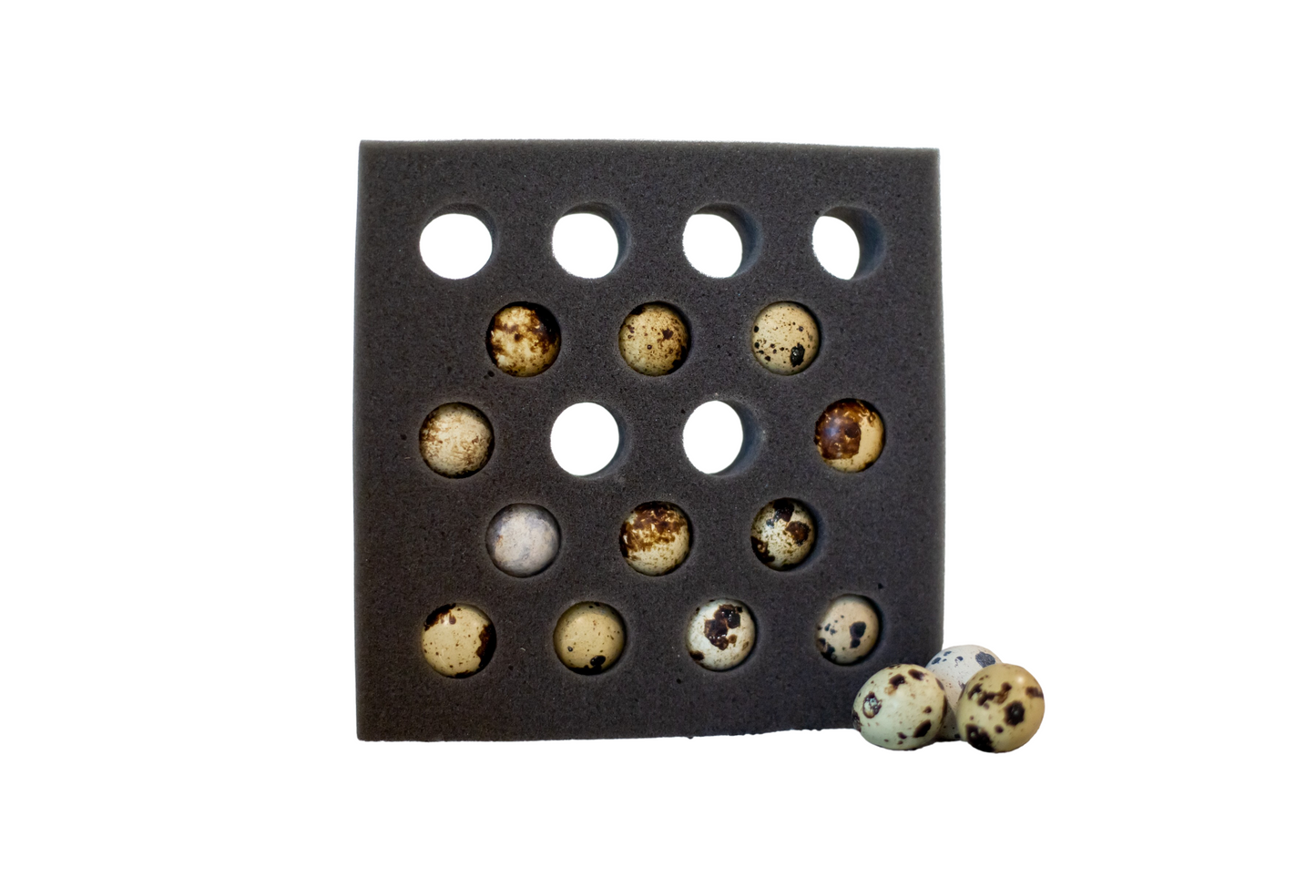 54 Quail Egg Foam Shipper Kit