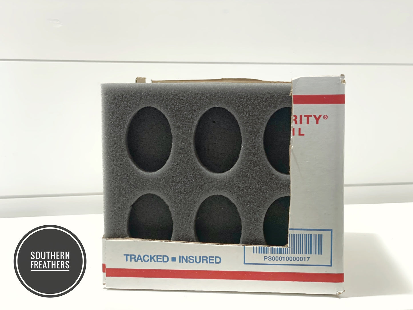 6 Egg Oblong Foam Shipper