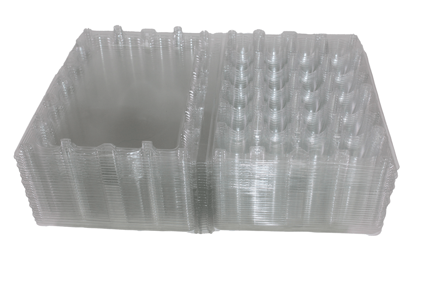 24-cell Jumbo Quail Egg Cartons (4x6)