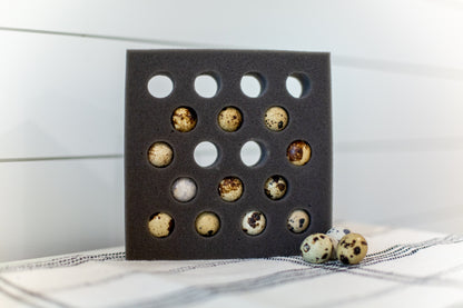 18 Egg Quail Foam Shippers Set (Standard Size)