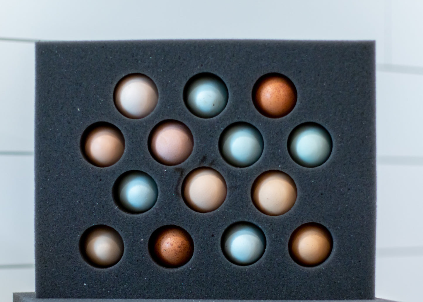 14 Egg Standard Shipper