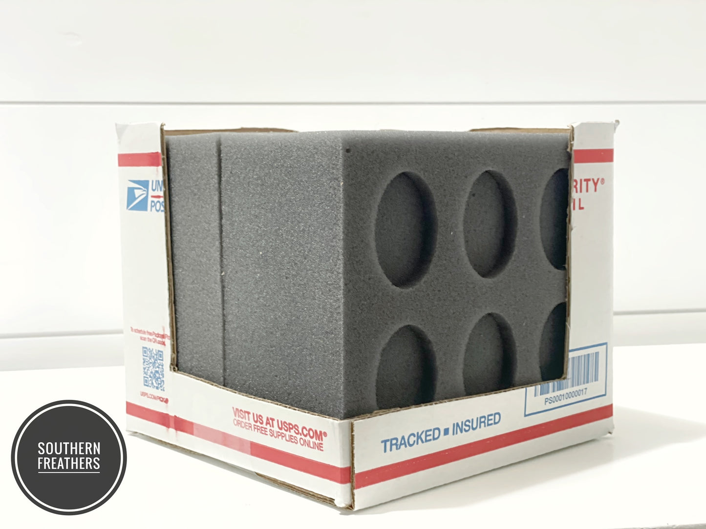 12 Egg Oblong Foam Small Kit (Standard)