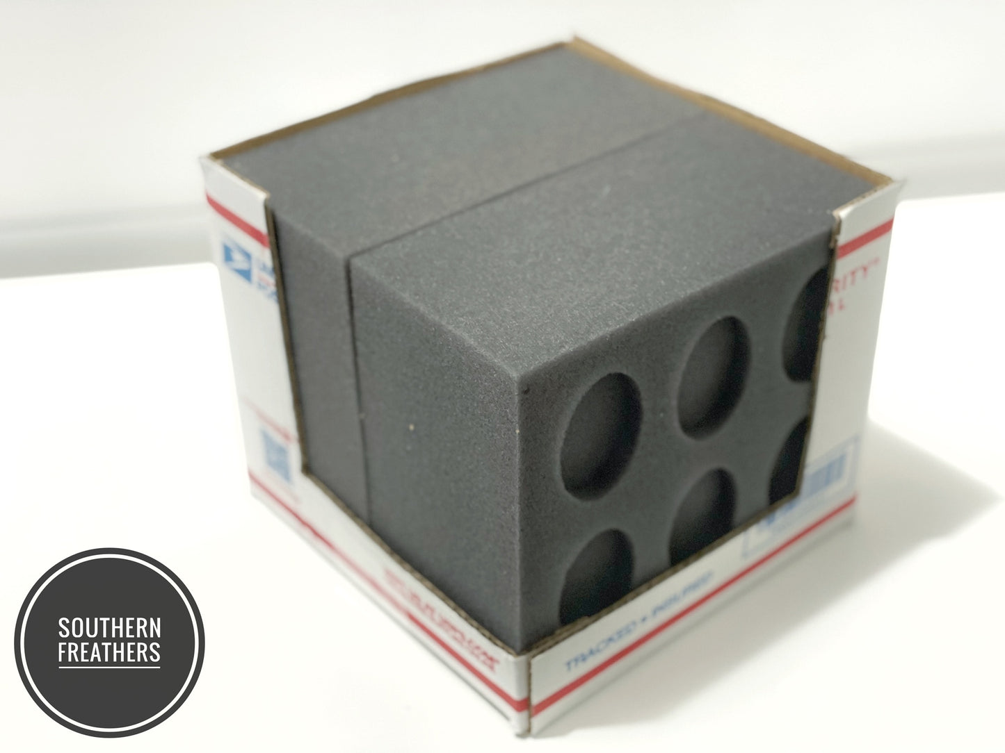 6 Egg Oblong Foam Shipper