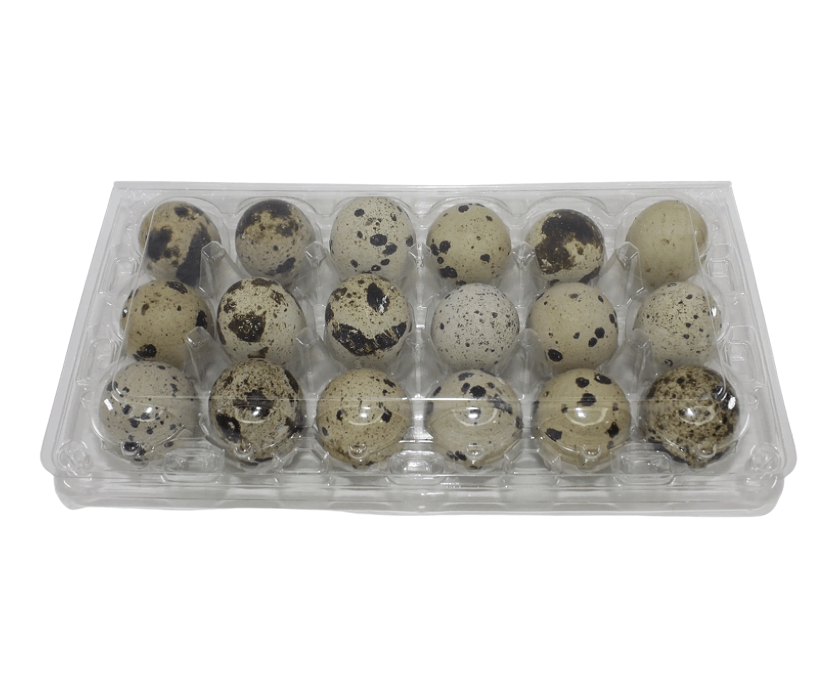 18-cell Extra-Large Jumbo Quail/Pigeon Egg Cartons (3x6)