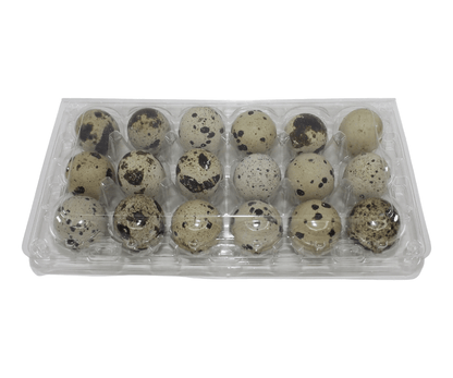 18-cell Extra-Large Jumbo Quail/Pigeon Egg Cartons (3x6)